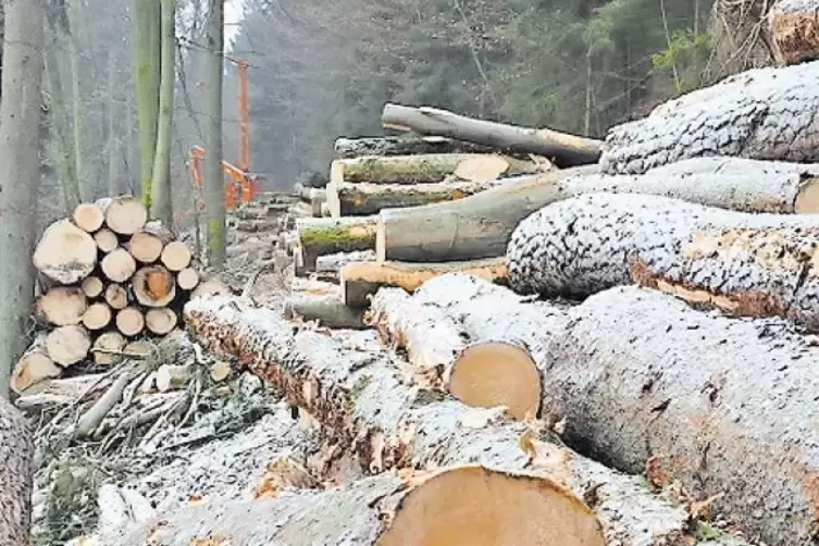 Holzverkauf aus Gemeindewald wird umstrukturiert.