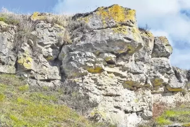 Die Kalkriffe des Gebiets Felsenberg-Berntal entstanden vor 25 Millionen Jahren, als noch ein Meeresarm die Gegend bedeckte.