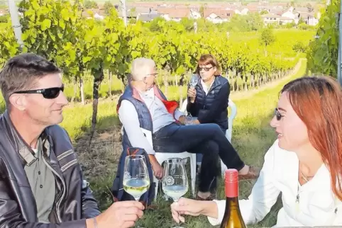 Genuss mit Ausblick: „Culi Vino“ in den Weinbergen.