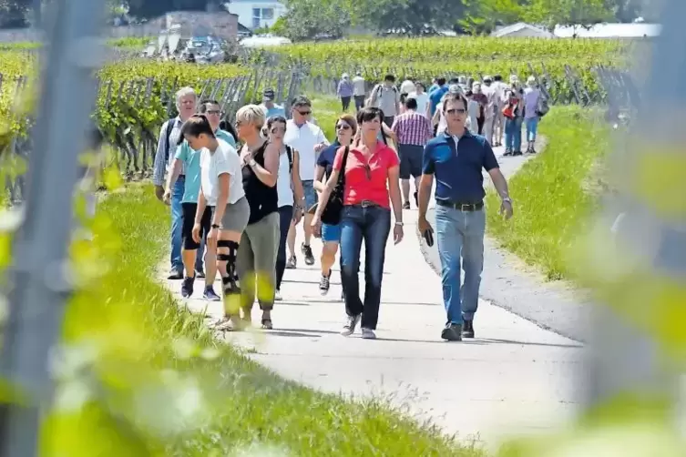 Laufen und genießen war bei der Weinwanderung ins Himmelreich in Herxheim am Berg angesagt.