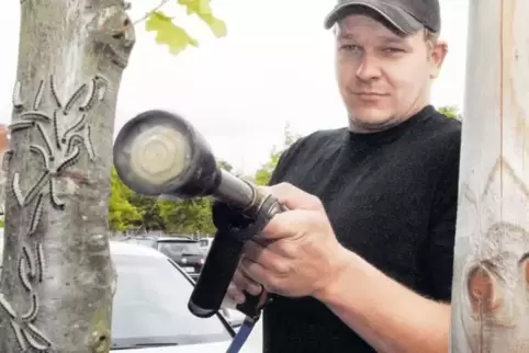 Bekämpfung im Jahr 2012: Bernd Diebold von der Stadtgärtnerei rückt einem befallenen Baum im Falkenweg zuleibe.