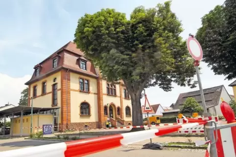 Es steht nicht gut um die Kastanien am Partnerschaftsplatz in Altrip. Eine wird heute Vormittag gefällt.