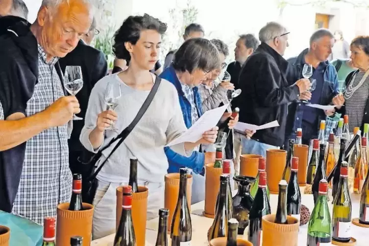 Die Qual der Wahl: 47 Weine des 2017er Jahrgangs hatte das Weingut Hahnmühle an Pfingsten zum Probieren im Angebot.