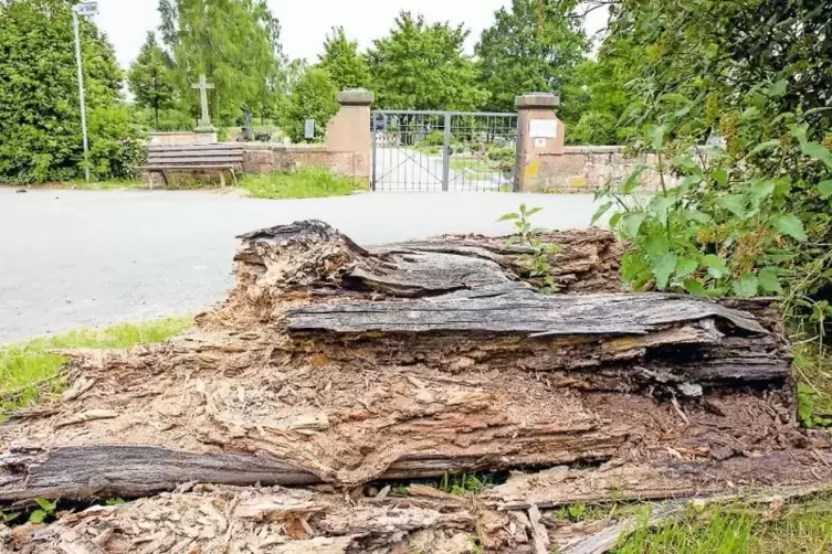 Soll fr&uuml;here Parkpl&auml;tze versperren, f&auml;llt aber auseinander und sieht nicht mehr sch&ouml;n aus: Baumstamm am Morlauterer Friedhof.