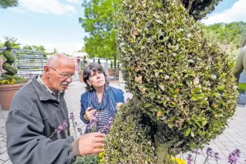 Besorgte Blicke: Christine Schweigert, Parkleiterin der Gartenschau, und Gärtner Stefan Jung begutachten die Fraßschäden an den 