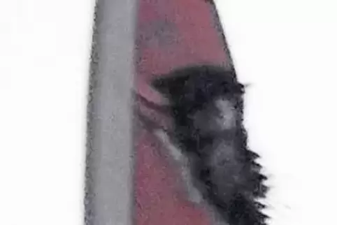 Auf diesem Foto der Feuerwehr ist deutlich die Einschlagstelle des Blitzes an der Spitze des Rotorblattes zu erkennen.