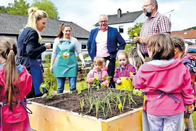 Die Schützlinge des angrenzenden Kindergartens bepflanzten die neun Quadrate und werden in den nächsten Wochen als Gärtner kräft Die Schützlinge des angrenzenden Kindergartens bepflanzten die neun Quadrate und werden in den nächsten Wochen als Gärtner kräft