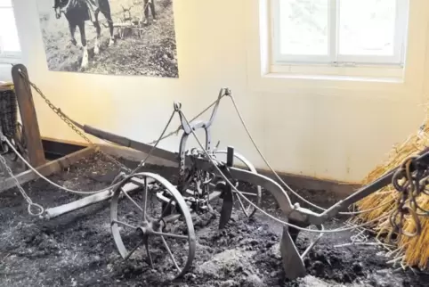 Mit einer Pferdestärke unterwegs: Ein Pflug, wie er früher in der Landwirtschaft benutzt wurde, ist heute im Heimatmuseum ausges