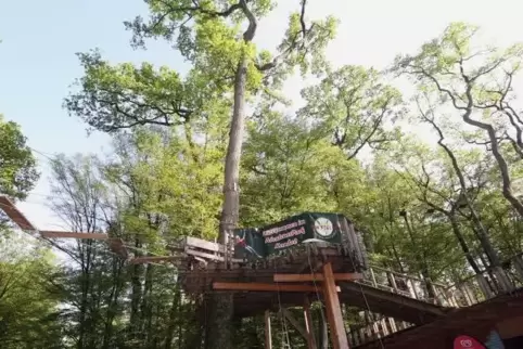 Die Einbrecher in den Kletterpark hatten es auf Lebensmittel abgesehen.  Foto: Iversen