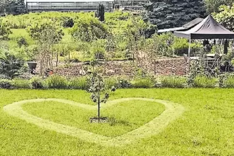 Der Wachenheimer Herzrasen, der zu Herzrasen führte.