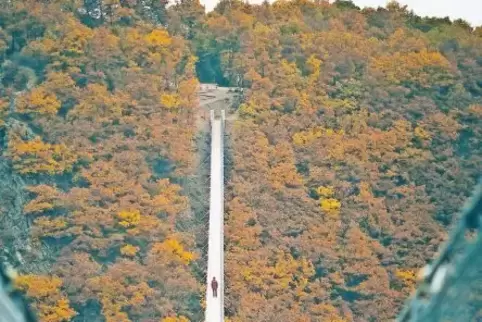 Die Hängebrücke Geierlay im Hunsrück. Sie überspannt das Mörsdorfer Bachtal. Das Foto von Johannes Höhn ist in dem Bildband der 