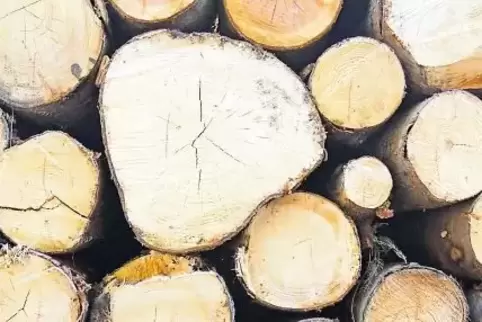Die Stadt Neustadt ist in Rheinland-Pfalz die größte kommunale Waldbesitzerin und hat reichlich Erfahrung in der Holzvermarktung