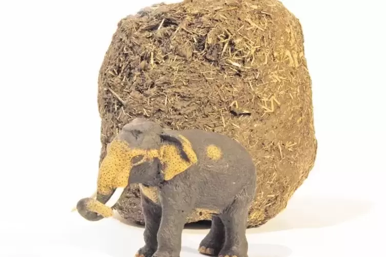 Aus Elefantenkot werden viele verschiedene Produkte aus Papier hergestellt &ndash; wie dieser Mini-Dickh&auml;uter aus Sri Lanka.