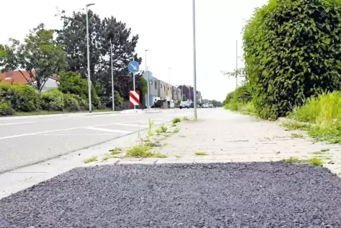 Dass die Baumgruben in Mutterstadt mit Beton gefüllt wurden, war im Netz Stein des Anstoßes für eine Diskussion. Bürgermeister H