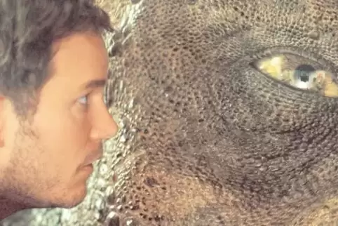 Auf Augenhöhe: Saurier-Trainer Owen (Chris Pratt) hat eine besondere Beziehung zu den Gentechnik-Geschöpfen.