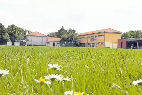 In die Kurpfalzschule sollen mehr Kitagruppen ziehen. Für den Umbau braucht die Gemeinde Handwerker. Doch nur wenige reagieren a