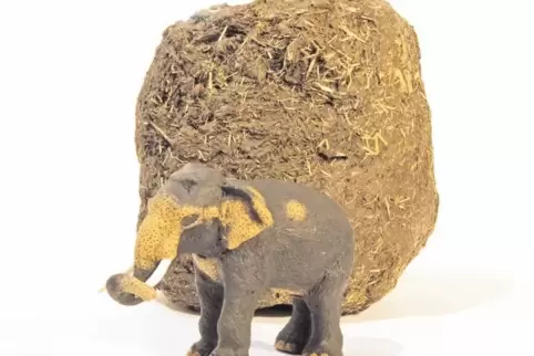 Elefantenkot ist der Grundstoff vieler verschiedener Produkte – wie für diesen Mini-Dickhäuter aus Papier.