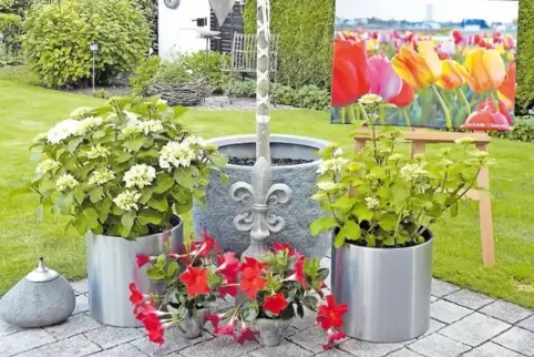 Eine Mischung aus Natur und Fotografie zeigen Rudolf und Maike Müller in ihrem Mutterstadter Garten.