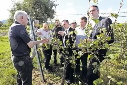 Günter Hoos (links), Leiter des DLR Rheinpfalz, Landwirtschaftsminister Volker Wissing (Vierter von rechts) und der Landtagsabge
