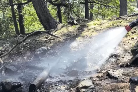 Lagerfeuer im Wald sind gefährlich, warnt die Feuerwehr.