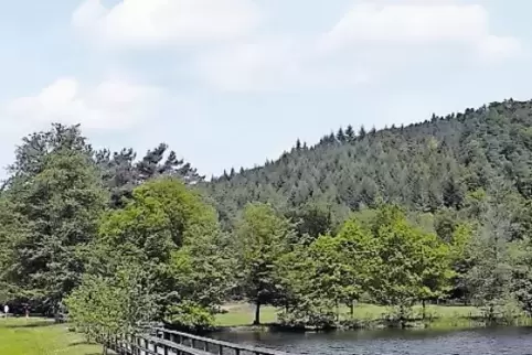Wird bei der ADFC-Radtour besichtigt: das Biosphärenreservat bei Fischbach.