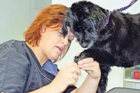 Mit Geduld und Einfühlungsvermögen: Janine Dittmann kürzt Daisys Krallen.