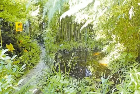 Der Garten von Diethelm Braun und Thomas Large in Neuhofen hat sich zu einem Labyrinth entwickelt.