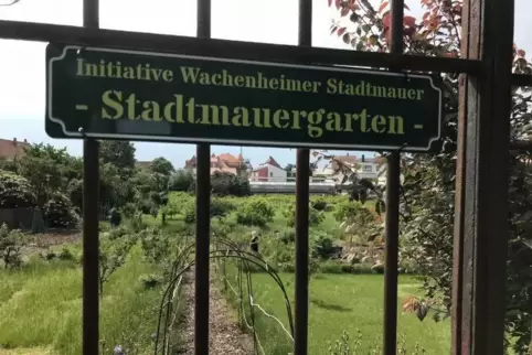 Jeden Mittwochnachmittag arbeiten Hobbygärtner im Wachenheimer Stadtmauergarten. Foto: jpl 