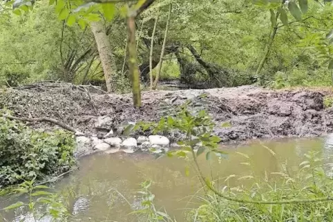 Notdürftig geflickt: das beschädigte Stück des Damms. Vorne ist der Speyerbach zu sehen, hinter dem Damm ist das überschwemmte B