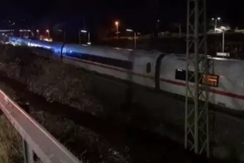 Am Heidelberger Hauptbahnhof fahren am Donnerstagabend keine Zügel  Symbolfoto: dpa 