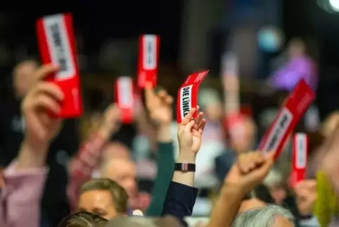 Abstimmung bei einem Parteitag der Linken. Foto: dpa