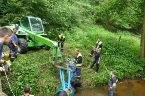 Kuhrettung unter erschwerten Bedingungen in Steinalben.  Foto: Feuerwehr 