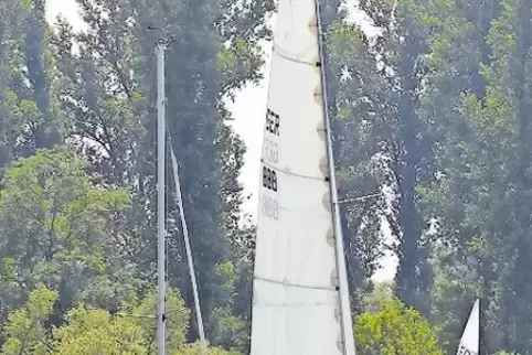 Segel gesetzt: Regatta im Otterstädter Altrhein.