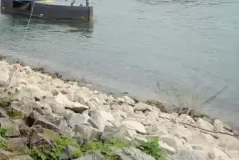 Das Schiff war auf dem Weg von Koblenz nach Speyer. Archivfoto: Landry