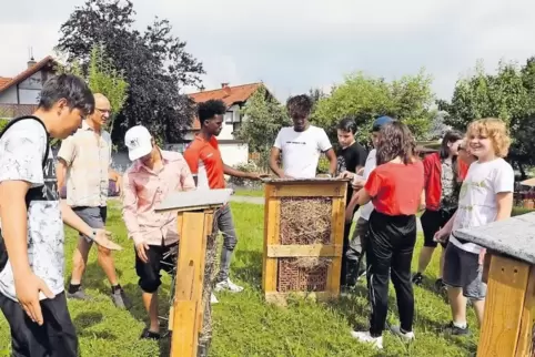 Lehrer Peter Jung und seine Schüler begutachten die von ihnen gebauten Insektenhotels im Sinnesgarten der Pro-Seniore-Residenz.
