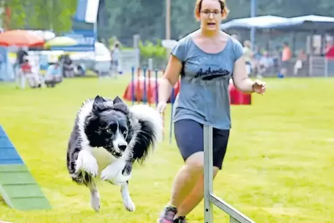 Heimspiel: Anna Lang und Hund Milo kommen mit einem Fehler in 31,67 Sekunden durch den Parcours.