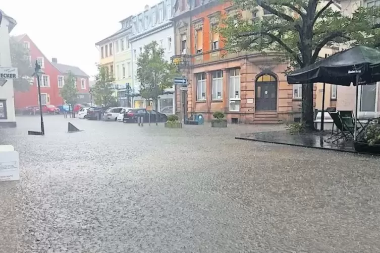 Kein Hai, sondern ein umgefallenes Schild ragt aus der Br&uuml;he in der Kuseler Bahnhofstra&szlig;e.