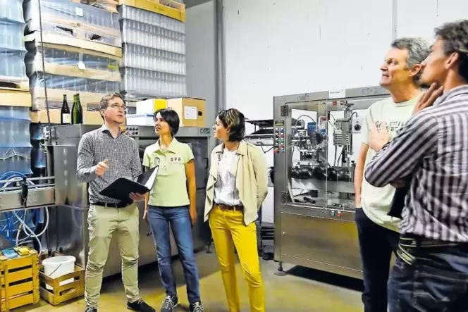 Energiegespräch im Weingut Lichti: Die Berater Jonas Groschke (links) und Christoph Sauerer (rechts) suchen im Flaschenlager zus