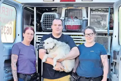 Michael Sehr und seine Mitarbeiter von der Tierrettung, Jacqueline Reinhardt und Maike Dams (rechts), sind rund um die Uhr im Ei