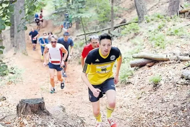 550 Höhenmeter, verteilt auf zehn Kilometer, sind beim Höllenberg Trail Run zu laufen.