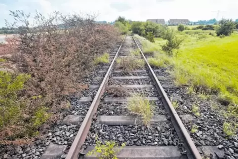 Die Bachbahntrasse bei Siegelbach: Der Naturschutzbund Weilerbach wendet sich gegen eine Trassenführung des Radweges ausschließl