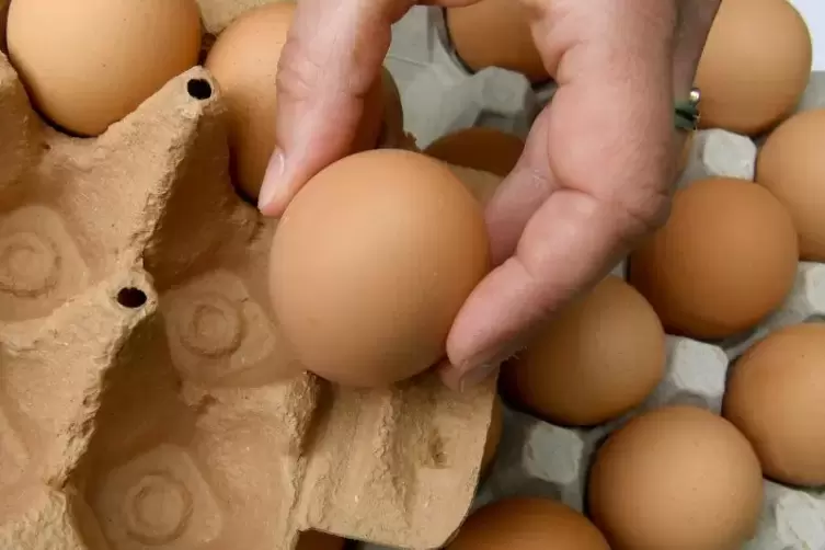 Verbraucher sollten vor der Verzehr von Bio-Eiern im Moment sehr genau auf die Verpackung schauen. Symbolfoto: dpa 