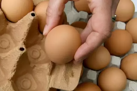 Verbraucher sollten vor der Verzehr von Bio-Eiern im Moment sehr genau auf die Verpackung schauen. Symbolfoto: dpa 