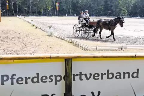 Ab Freitag werden in Lauterecken die Pfalzmeister der Ein- und Zweispänner gesucht.