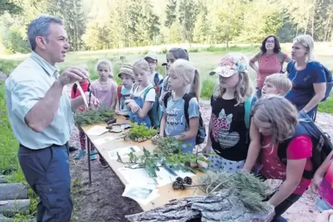 Förster Hugo Grünfelder erklärt der Klasse 3a der Grundschule Hauenstein verschiedene Baumarten.