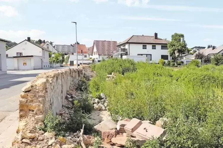 Der Grünstadter Unternehmer Mehmet Aksoy möchte auf dem Gelände der ehemaligen Inselmühle ein Seniorenheim errichten. Dessen gep