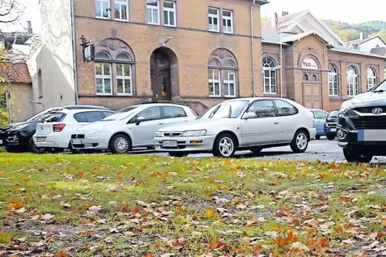 Bringt Geld in die Vereinskasse: das Gelände, das die TSG an die Stadt verkauft hat.