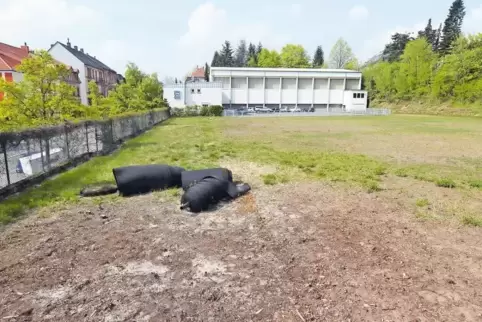 Auf dem TVP-Gelände soll die neue Halle gebaut werden. Zu den Kosten wurde bisher nichts gesagt.