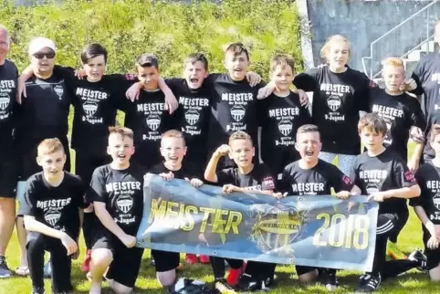 15 Siege in 16 Spielen schafften die D-Junioren des JFV Zweibrücken in der Fußball-Kreisliga. Dabei hatte die Mannschaft ein übe