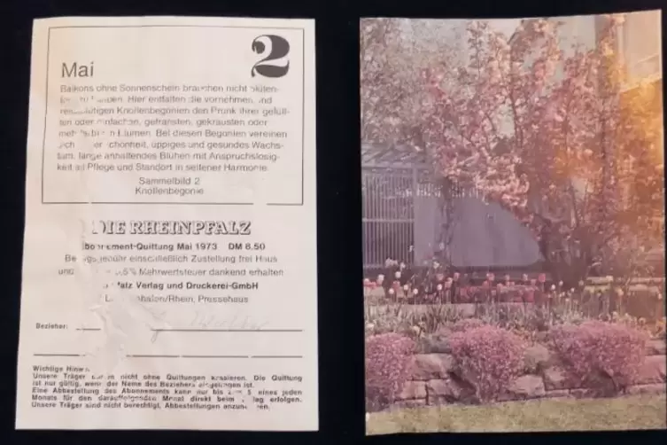 1973 gab&rsquo;s RHEINPFALZ-Rechnungen mit Gartentipps, die in ein Sammelbuch eingeklebt wurden. Gertrud Lorch hatte so eines.